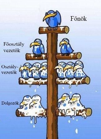 ez_helyzet.jpg