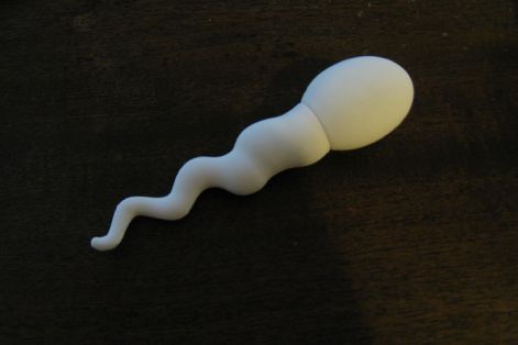sperm-drive-1.jpg